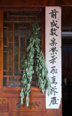 艾蒿挂在屋里还是屋外,艾草放哪里效果最好-第1张图片-厨房小当家 艾蒿挂在屋里还是屋外,艾草放哪里效果最好-第1张图片-厨房小当家