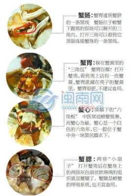 公蟹吃哪里(公蟹吃哪里高清图)-第2张图片-厨房小当家 公蟹吃哪里(公蟹吃哪里高清图)-第2张图片-厨房小当家