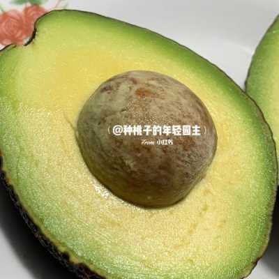 哪里的牛油果最好(牛油果好坏区分)-第1张图片-厨房小当家 哪里的牛油果最好(牛油果好坏区分)-第1张图片-厨房小当家