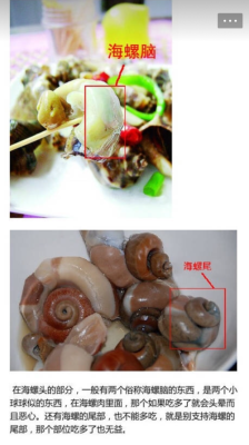 海螺的吃法哪个部位不能吃,海螺肉哪里不能吃图解,海螺肉的吃法,海鲜-第2张图片-厨房小当家 海螺的吃法哪个部位不能吃,海螺肉哪里不能吃图解,海螺肉的吃法,海鲜-第2张图片-厨房小当家