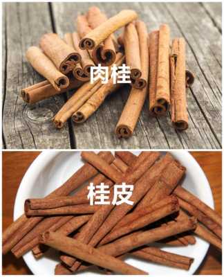 哪里桂皮好(桂皮最好产地排名)-第1张图片-厨房小当家 哪里桂皮好(桂皮最好产地排名)-第1张图片-厨房小当家