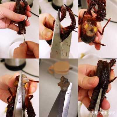 龙虾怎么剪头和尾,龙虾要剪哪些部位-第3张图片-厨房小当家 龙虾怎么剪头和尾,龙虾要剪哪些部位-第3张图片-厨房小当家