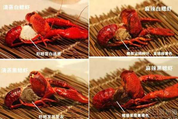 虾腮在哪里(虾腮在哪儿)-第2张图片-厨房小当家 虾腮在哪里(虾腮在哪儿)-第2张图片-厨房小当家