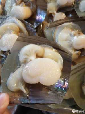 带子哪里不能吃图解(带子螺怎么清理)-第3张图片-厨房小当家 带子哪里不能吃图解(带子螺怎么清理)-第3张图片-厨房小当家