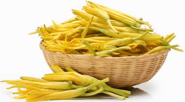 哪里黄花菜好（哪里黄花菜好吃）-第1张图片-厨房小当家