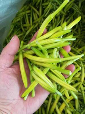 哪里黄花菜好（哪里黄花菜好吃）-第3张图片-厨房小当家