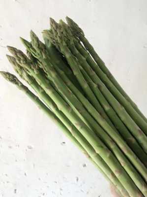 芦荀哪里(饼干属于生鲜类吗)-第3张图片-厨房小当家 芦荀哪里(饼干属于生鲜类吗)-第3张图片-厨房小当家