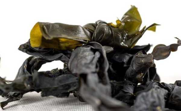 昆布在哪里（寺庙能吃紫菜吗）-第3张图片-厨房小当家