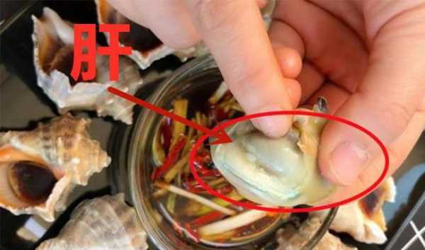 海螺头在哪里(海螺有内脏吗)-第3张图片-厨房小当家 海螺头在哪里(海螺有内脏吗)-第3张图片-厨房小当家