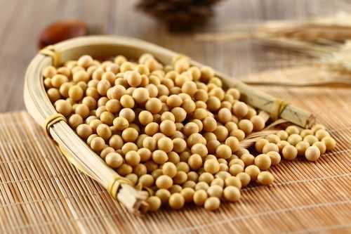 哪里的大豆最好,大豆哪里的好吃-第2张图片-厨房小当家 哪里的大豆最好,大豆哪里的好吃-第2张图片-厨房小当家