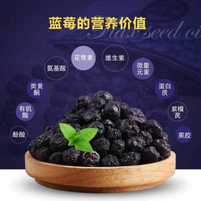 蓝莓干哪里产的最好,蓝莓哪里的好吃-第1张图片-厨房小当家 蓝莓干哪里产的最好,蓝莓哪里的好吃-第1张图片-厨房小当家