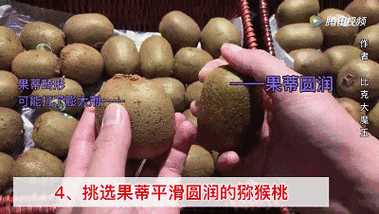果蒂在哪里(果蒂在什么位置图解)-第1张图片-厨房小当家 果蒂在哪里(果蒂在什么位置图解)-第1张图片-厨房小当家