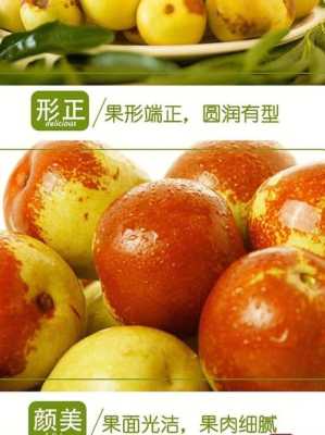 冬枣哪里产的(冬枣哪里产的最好吃)-第3张图片-厨房小当家 冬枣哪里产的(冬枣哪里产的最好吃)-第3张图片-厨房小当家