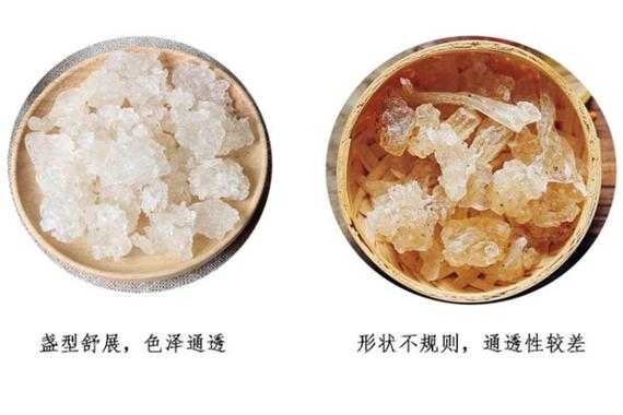 雪燕哪里的好(雪燕去哪买比较好)-第2张图片-厨房小当家 雪燕哪里的好(雪燕去哪买比较好)-第2张图片-厨房小当家