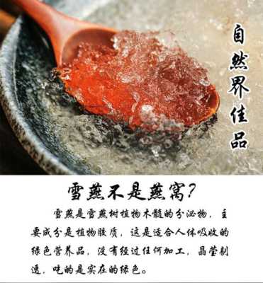 雪燕哪里的好(雪燕去哪买比较好)-第1张图片-厨房小当家 雪燕哪里的好(雪燕去哪买比较好)-第1张图片-厨房小当家