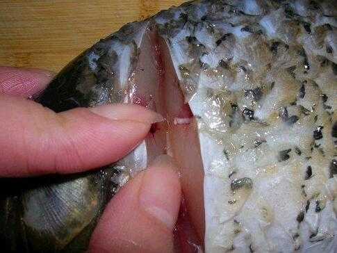 鲈鱼的腥线在哪里(鲈鱼的腥线在哪里图片)-第2张图片-厨房小当家 鲈鱼的腥线在哪里(鲈鱼的腥线在哪里图片)-第2张图片-厨房小当家