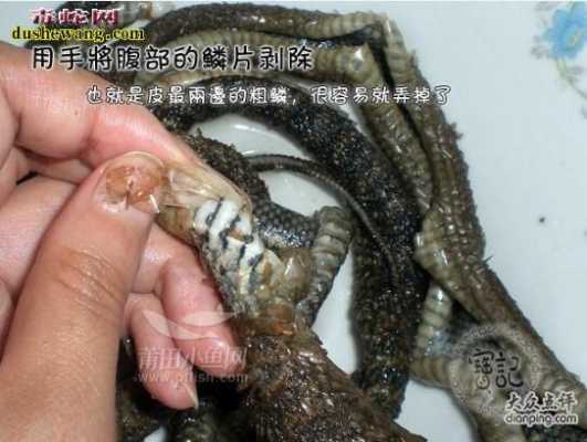 蛇皮吃哪里(蛇皮如何食用)-第1张图片-厨房小当家 蛇皮吃哪里(蛇皮如何食用)-第1张图片-厨房小当家