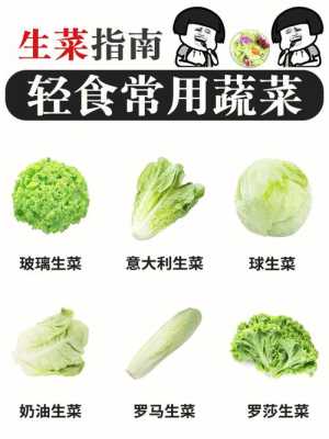 哪里生菜多(哪里的生菜最好)-第3张图片-厨房小当家 哪里生菜多(哪里的生菜最好)-第3张图片-厨房小当家