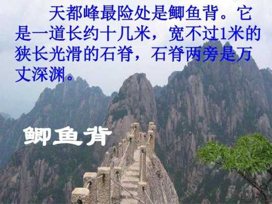 鱼背在哪里(北京鲫鱼背在哪里)-第1张图片-厨房小当家 鱼背在哪里(北京鲫鱼背在哪里)-第1张图片-厨房小当家