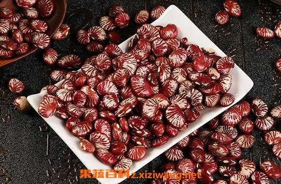 肾豆哪里好(肾豆哪里产的好)-第1张图片-厨房小当家 肾豆哪里好(肾豆哪里产的好)-第1张图片-厨房小当家