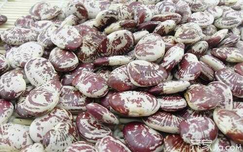 肾豆哪里好(肾豆哪里产的好)-第2张图片-厨房小当家 肾豆哪里好(肾豆哪里产的好)-第2张图片-厨房小当家