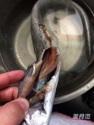 带鱼的内脏在哪里(带鱼的内脏在哪里怎么去除)-第2张图片-厨房小当家 带鱼的内脏在哪里(带鱼的内脏在哪里怎么去除)-第2张图片-厨房小当家
