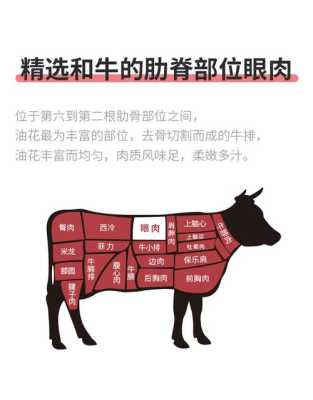 牛眼肉是哪里的肉,牛眼肉是哪里的肉-第1张图片-厨房小当家 牛眼肉是哪里的肉,牛眼肉是哪里的肉-第1张图片-厨房小当家
