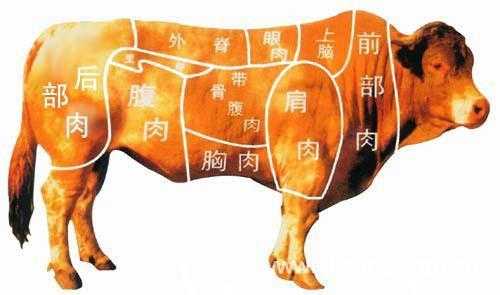 牛眼肉是哪里的肉,牛眼肉是哪里的肉-第3张图片-厨房小当家 牛眼肉是哪里的肉,牛眼肉是哪里的肉-第3张图片-厨房小当家