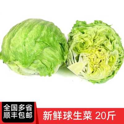 球生菜哪里有卖（球生菜哪里买）-第2张图片-厨房小当家