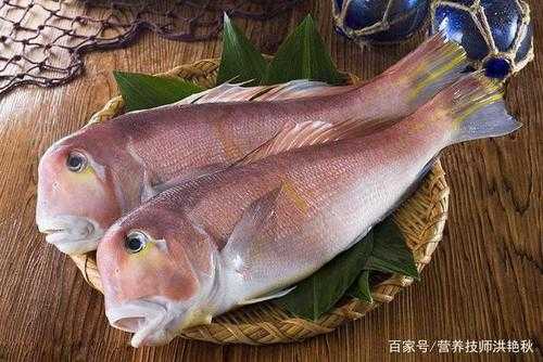 鱼哪里的肉最好吃(鱼哪里的肉最好吃最有营养)-第2张图片-厨房小当家 鱼哪里的肉最好吃(鱼哪里的肉最好吃最有营养)-第2张图片-厨房小当家