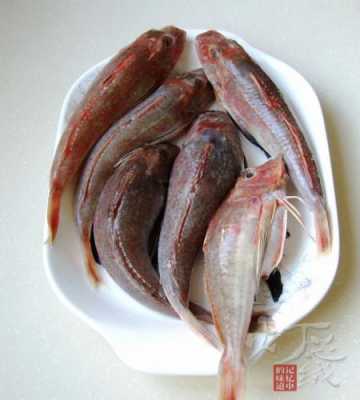 蒜瓣鱼哪里(蒜瓣肉的海鱼有哪些)-第2张图片-厨房小当家 蒜瓣鱼哪里(蒜瓣肉的海鱼有哪些)-第2张图片-厨房小当家