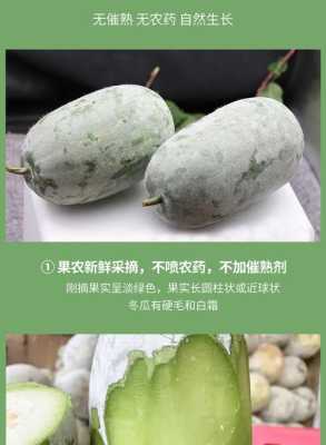 香冬瓜哪里有(香冬瓜和普通冬瓜有什么区别)-第2张图片-厨房小当家 香冬瓜哪里有(香冬瓜和普通冬瓜有什么区别)-第2张图片-厨房小当家