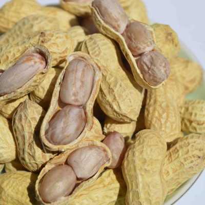哪里花生好吃(鲜花生哪个地方的最好吃)-第3张图片-厨房小当家 哪里花生好吃(鲜花生哪个地方的最好吃)-第3张图片-厨房小当家