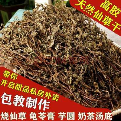 仙草干哪里买(烧仙草用干仙草还是用新鲜仙草)-第1张图片-厨房小当家 仙草干哪里买(烧仙草用干仙草还是用新鲜仙草)-第1张图片-厨房小当家