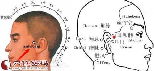 耳根在哪里图解(耳根在哪 图解)-第3张图片-厨房小当家 耳根在哪里图解(耳根在哪 图解)-第3张图片-厨房小当家