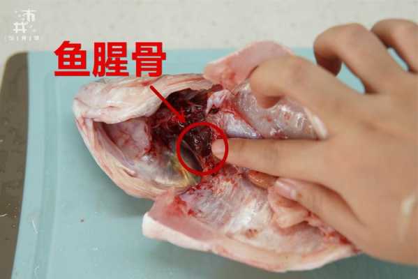 鲤鱼鱼腥线在哪里(鲤鱼鱼腥线在哪个位置)-第3张图片-厨房小当家 鲤鱼鱼腥线在哪里(鲤鱼鱼腥线在哪个位置)-第3张图片-厨房小当家