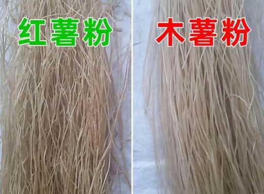 哪里可以买到木薯粉(哪里可以买到木薯粉呢)-第1张图片-厨房小当家 哪里可以买到木薯粉(哪里可以买到木薯粉呢)-第1张图片-厨房小当家