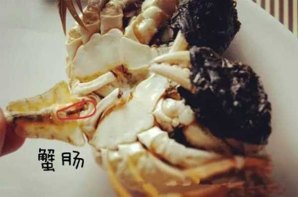 怎么判断螃蟹不能吃了,蟹子哪里不能吃视频-第1张图片-厨房小当家 怎么判断螃蟹不能吃了,蟹子哪里不能吃视频-第1张图片-厨房小当家