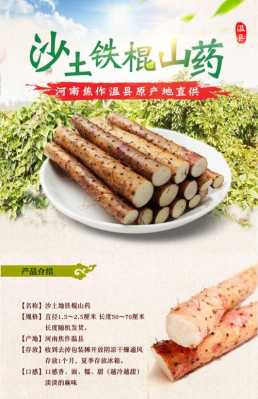 河南淮山产地哪里最好,淮山哪里的好吃-第3张图片-厨房小当家 河南淮山产地哪里最好,淮山哪里的好吃-第3张图片-厨房小当家