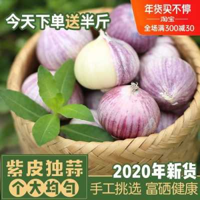 哪里产独头蒜(哪里产的独头蒜最好)-第3张图片-厨房小当家 哪里产独头蒜(哪里产的独头蒜最好)-第3张图片-厨房小当家