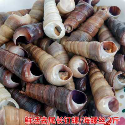 长丁螺长在哪里(长丁螺长在哪里的)-第2张图片-厨房小当家 长丁螺长在哪里(长丁螺长在哪里的)-第2张图片-厨房小当家