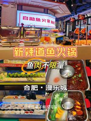 新辣道鱼火锅怎么样(新辣道鱼火锅怎么样好吃吗)-第1张图片-厨房小当家 新辣道鱼火锅怎么样(新辣道鱼火锅怎么样好吃吗)-第1张图片-厨房小当家