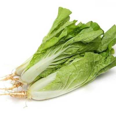 奶油白菜是转基因吗,奶油白菜是哪里的菜系图片-第2张图片-厨房小当家 奶油白菜是转基因吗,奶油白菜是哪里的菜系图片-第2张图片-厨房小当家