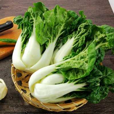 奶油白菜是转基因吗,奶油白菜是哪里的菜系图片-第1张图片-厨房小当家 奶油白菜是转基因吗,奶油白菜是哪里的菜系图片-第1张图片-厨房小当家