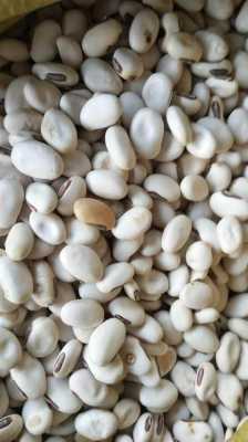 白扁豆哪里好(白扁豆哪里好?)-第1张图片-厨房小当家 白扁豆哪里好(白扁豆哪里好?)-第1张图片-厨房小当家