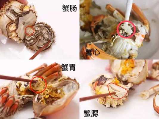 河蟹哪里不能吃(什么季节不能吃大闸蟹)-第2张图片-厨房小当家 河蟹哪里不能吃(什么季节不能吃大闸蟹)-第2张图片-厨房小当家