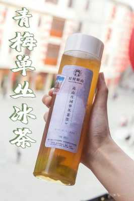 苏良记和乐品乐茶区别,茶座奶茶怎么样好喝吗-第3张图片-厨房小当家 苏良记和乐品乐茶区别,茶座奶茶怎么样好喝吗-第3张图片-厨房小当家