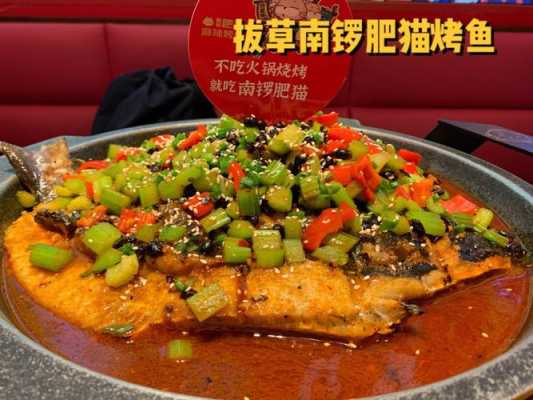 肥猫烤鱼怎么样(肥猫烤鱼怎么样好吃吗)-第1张图片-厨房小当家 肥猫烤鱼怎么样(肥猫烤鱼怎么样好吃吗)-第1张图片-厨房小当家