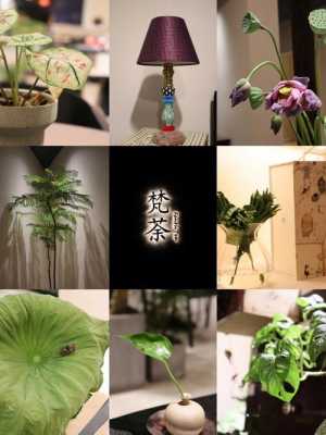 梵茶销量怎么样(梵天小世界通关条件)-第2张图片-厨房小当家 梵茶销量怎么样(梵天小世界通关条件)-第2张图片-厨房小当家