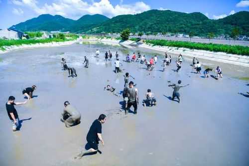 金华吃海鲜哪里好(金华附近赶海地点)-第1张图片-厨房小当家 金华吃海鲜哪里好(金华附近赶海地点)-第1张图片-厨房小当家